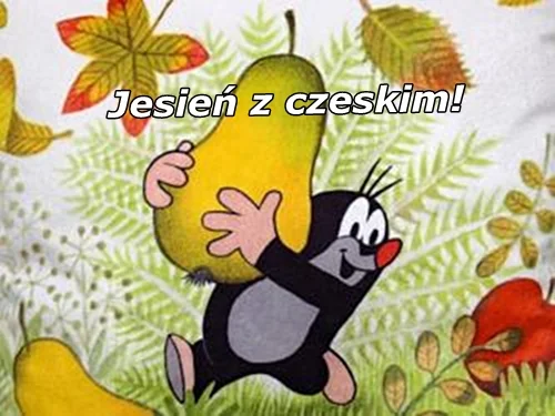 Promocja na czeskie książki!