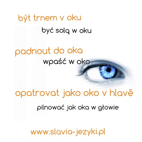 Czeskie idiomy - prosto w oczy