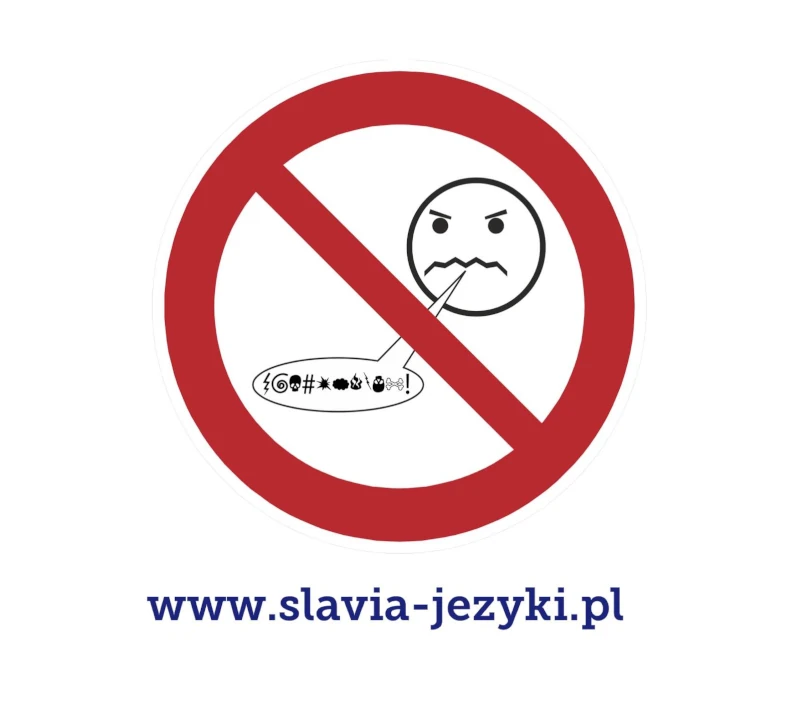 wulgaryzmy czeski