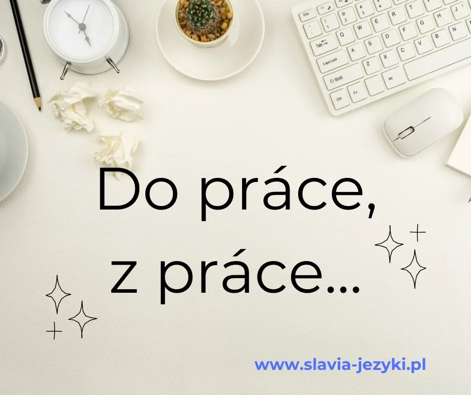 www.slavia-jezyki.pl