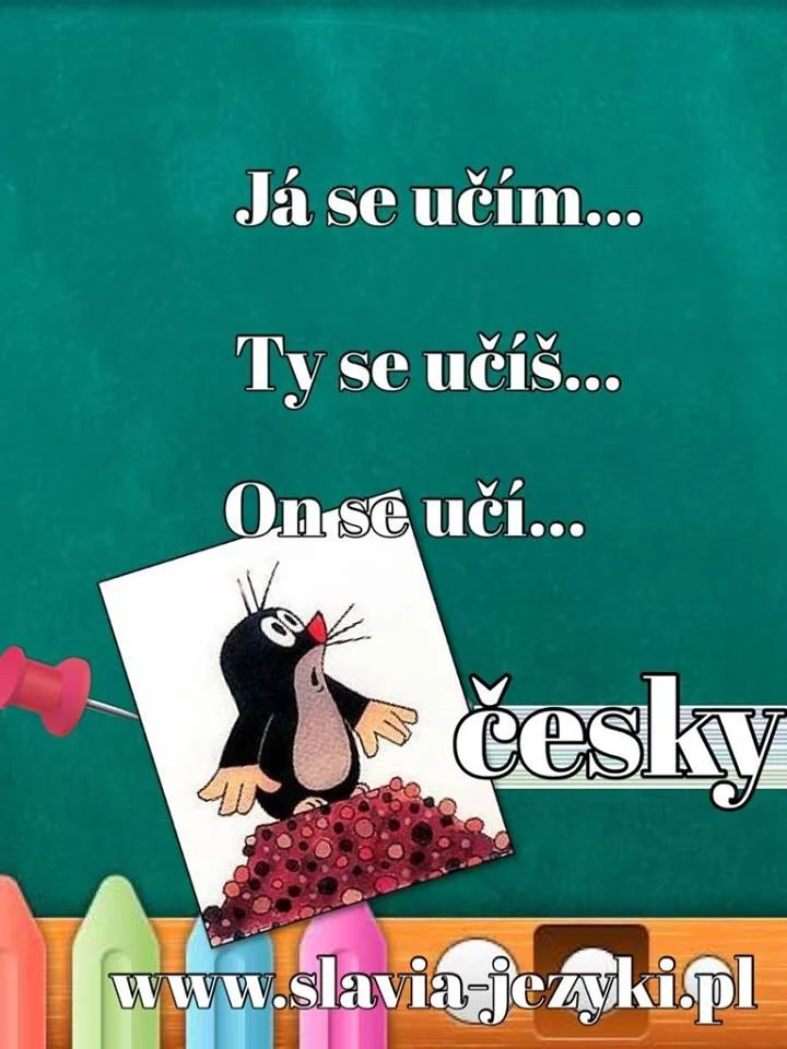 Wakacyjny kurs ONLINE czeskiego dla początkujących!